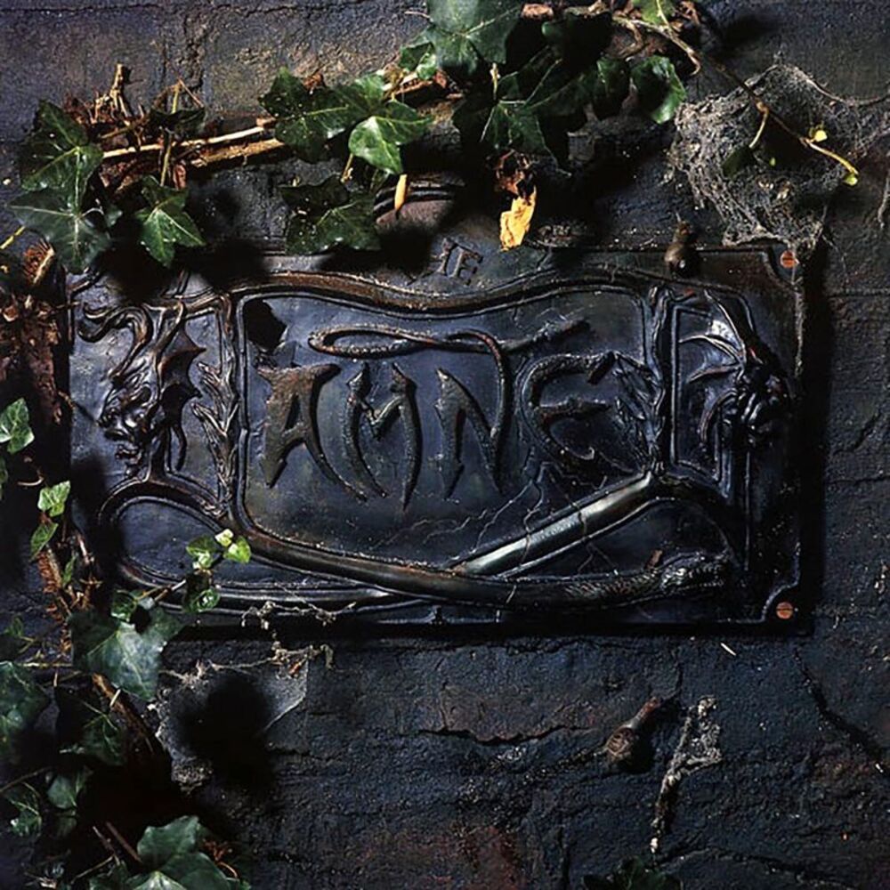 The Damned - The Black Album (2xLP) (180g) - Vinyl LP